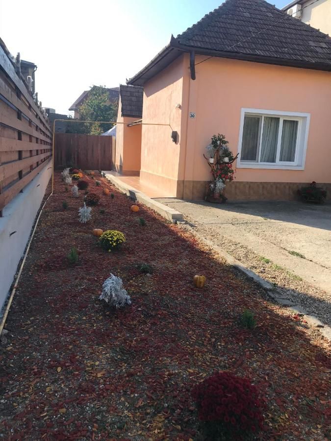 Дома для отпуска Permissive Клуж-Напока