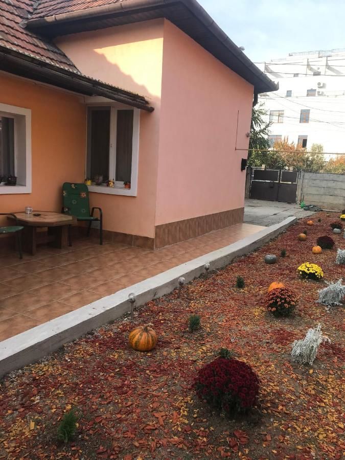 Дома для отпуска Permissive Клуж-Напока